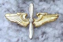 AAF Officer Badge